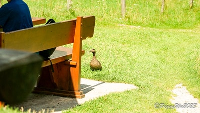 20251013-4jgww 20251013-4jgww