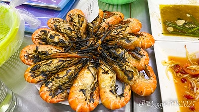 20251013-761mo 20251013-761mo