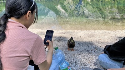 20251013-7d5hr 20251013-7d5hr