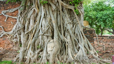 20251013-7r27e 20251013-7r27e