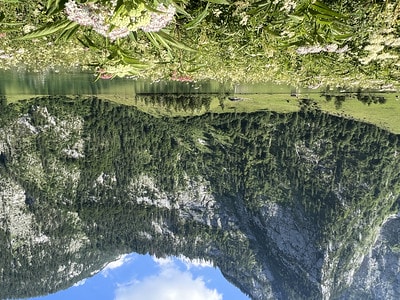 20251013-8pumw 20251013-8pumw