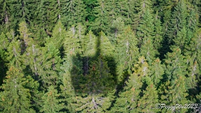 20251013-8s2if 20251013-8s2if