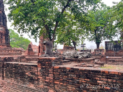 20251013-9lfjc 20251013-9lfjc