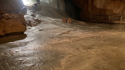 20251013-bjc1a 20251013-bjc1a