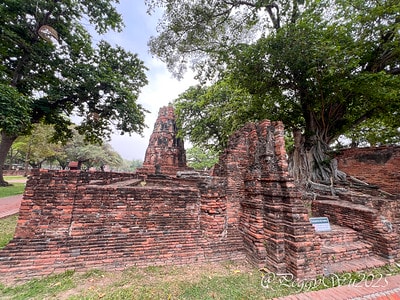 20251013-btyki 20251013-btyki