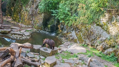 20251013-eajed 20251013-eajed