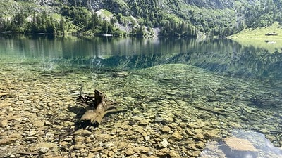 20251013-fdvbp 20251013-fdvbp