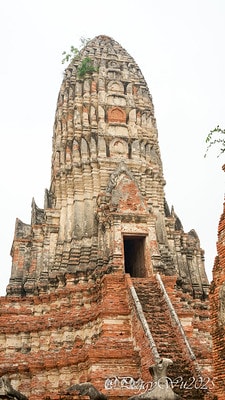 20251013-fwggt 20251013-fwggt