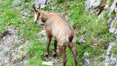 20251013-iuicf 20251013-iuicf