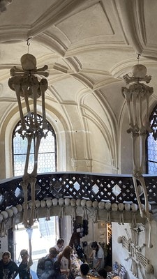 20251013-j86l9 20251013-j86l9