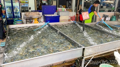 20251013-kz69i 20251013-kz69i