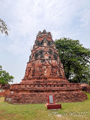 20251013-mogs9 20251013-mogs9