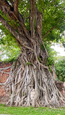 20251013-n74xc 20251013-n74xc