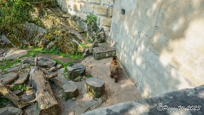 20251013-nuwno 20251013-nuwno