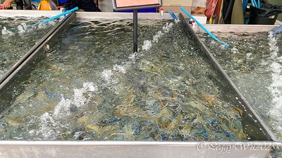 20251013-obmzl 20251013-obmzl