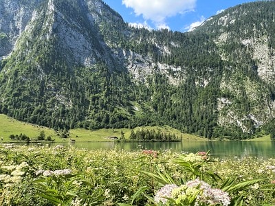 20251013-qc8at 20251013-qc8at