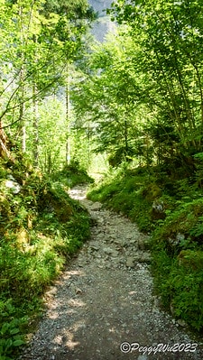 20251013-s6gz1 20251013-s6gz1