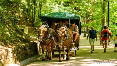 20251013-svqbz 20251013-svqbz