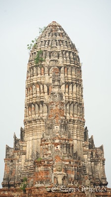 20251013-sy464 20251013-sy464