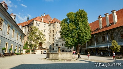 20251013-v598d 20251013-v598d