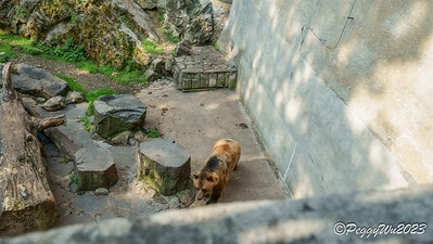 20251013-va5w3 20251013-va5w3