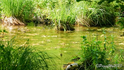 20251013-vmbbe 20251013-vmbbe