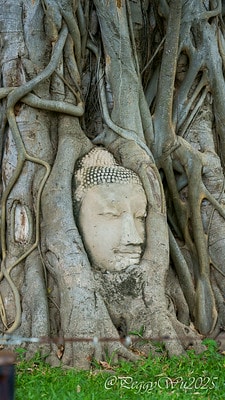 20251013-wzxrn 20251013-wzxrn