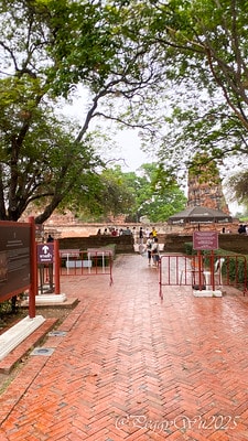 20251013-xw5y5 20251013-xw5y5