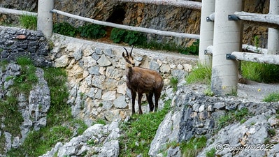 20251013-y4zbd 20251013-y4zbd