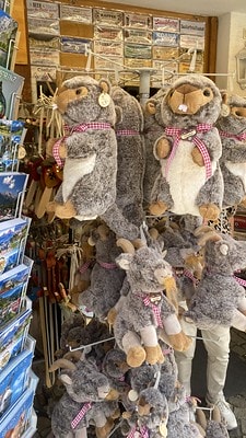 20251013-y8vzp 20251013-y8vzp