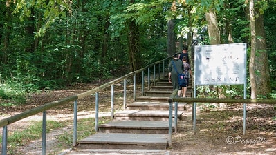 20251013-6cmzp 20251013-6cmzp