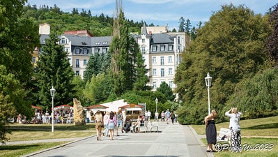 20251013-aimux 20251013-aimux