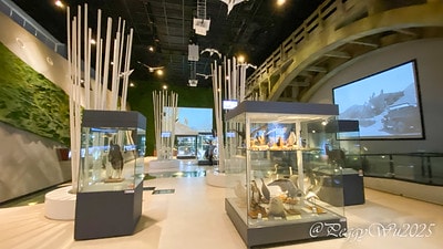 20251013-dwzft 20251013-dwzft