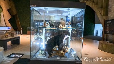 20251013-gpxg6 20251013-gpxg6