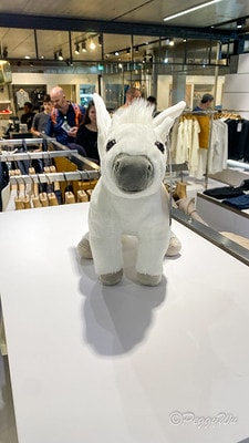 20251013-myomy 20251013-myomy