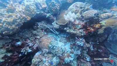 20251013-03j5d 20251013-03j5d