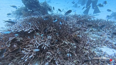 20251013-1ywdc 20251013-1ywdc