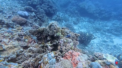 20251013-39j9v 20251013-39j9v