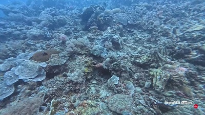 20251013-4p22y 20251013-4p22y