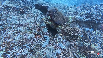 20251013-6w899 20251013-6w899