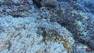 20251013-7osnx 20251013-7osnx