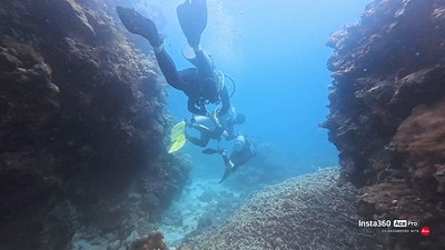 20251013-a84nz 20251013-a84nz