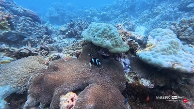 20251013-ec81x 20251013-ec81x