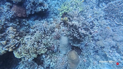 20251013-jqwr0 20251013-jqwr0