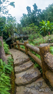 20251013-na3i9 20251013-na3i9