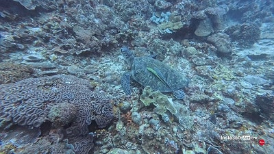 20251013-oscwn 20251013-oscwn