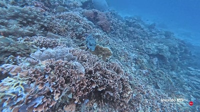 20251013-w562w 20251013-w562w