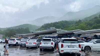 20251013-ws0f2 20251013-ws0f2