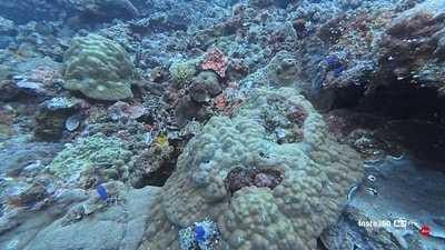 20251013-yk6d4 20251013-yk6d4