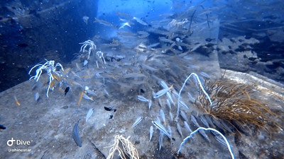 20251013-0e71f 20251013-0e71f